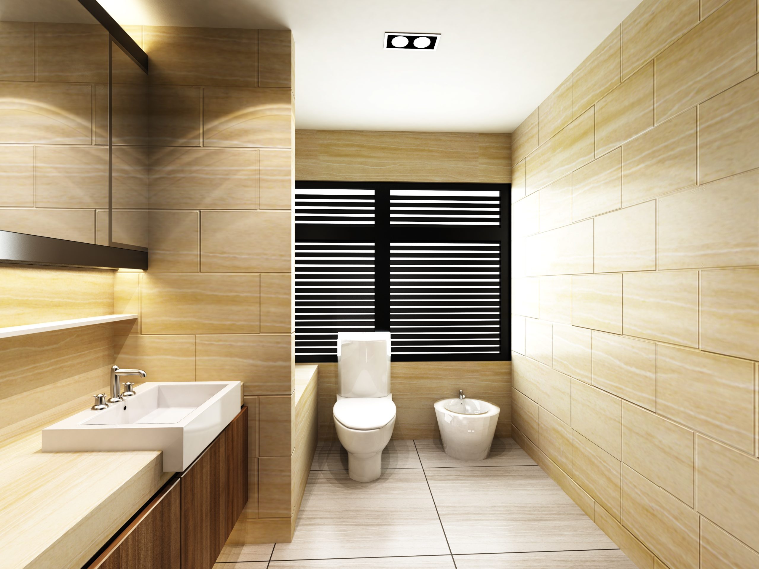 Toilet Repair & Replace